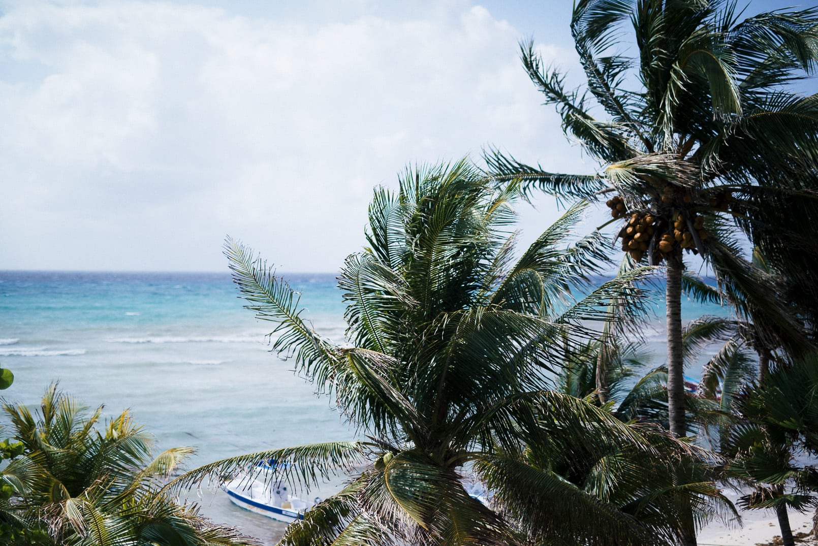 When in Playa del Carmen… - The Girl from Panama