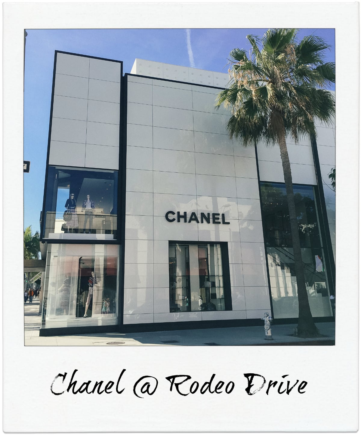 Chanel Rodeo Dr