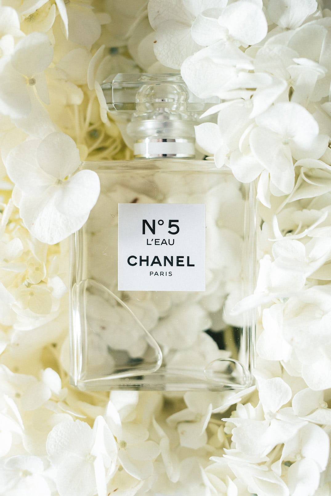 What You Don't Know About the New Chanel N°5 L'EAU - The Girl from