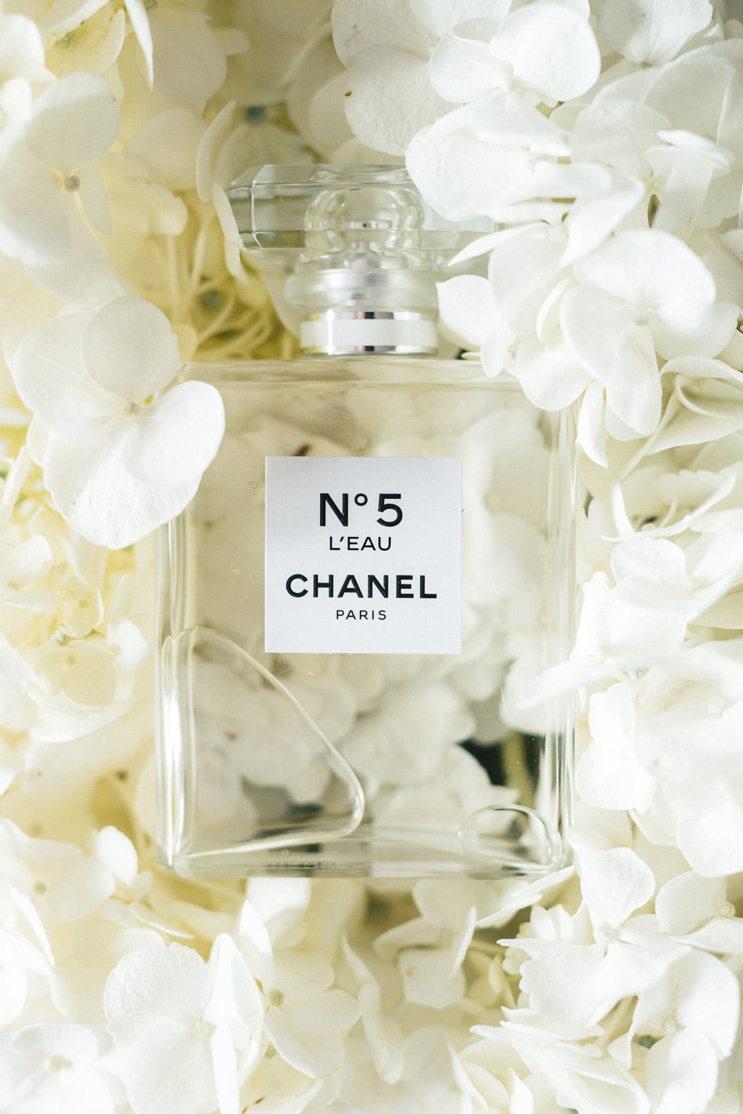 What You Don t Know About the New Chanel N 5 L EAU The Girl from